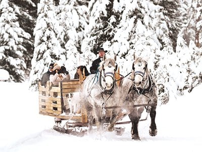 Local Area Guide https://bookbigsky.icnd-cdn.com/images/thingstodo/sleigh ride tiny.jpg